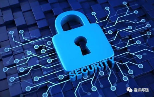 区块链技术在政务服务中的应用与效率提升